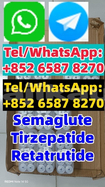 Big with watermark adler diplomat sughd chorku 5151