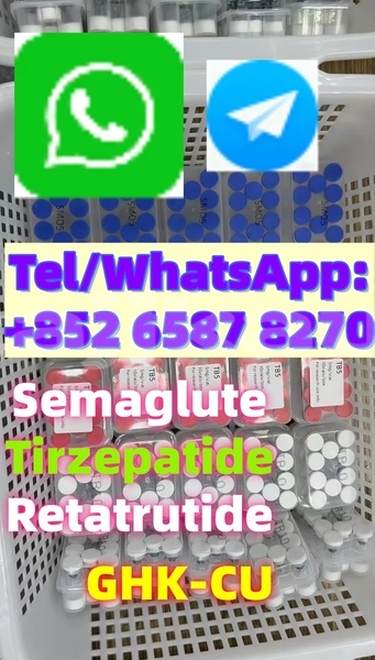 Big with watermark adler diplomat sughd chorku 5151