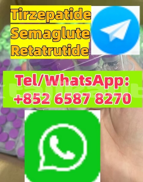 Big with watermark adler diplomat khatlon farkhor 5154