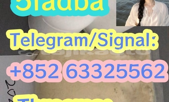 Medium with watermark 21