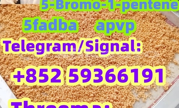 Medium with watermark 12