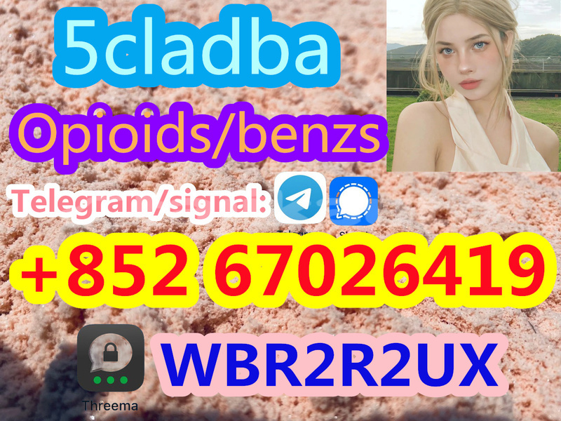 Big with watermark 893d1cb1 6b06 45d9 bef7 66ae5a1d3808 %e5%89%af%e6%9c%ac2