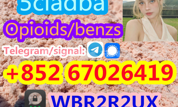 Medium with watermark 893d1cb1 6b06 45d9 bef7 66ae5a1d3808 %e5%89%af%e6%9c%ac2