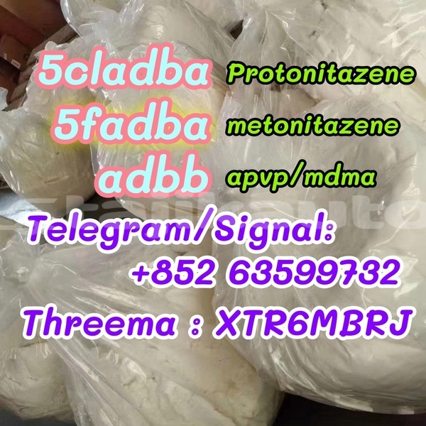 Big with watermark 48