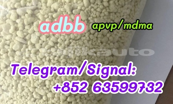 Medium with watermark 46