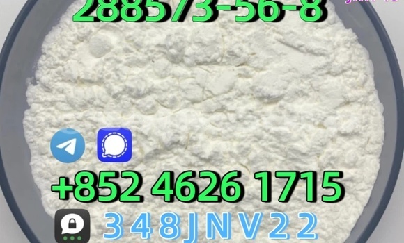 Buy CAS 288573-56-8 in Chorku in Sughd Buy CAS 288573-56-8 in Chorku in Sughd