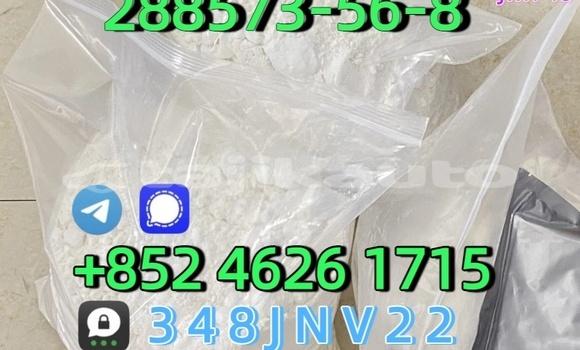 Buy CAS 288573-56-8 in Chorku in Sughd Buy CAS 288573-56-8 in Chorku in Sughd