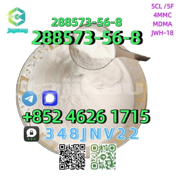 Big with watermark 288573 56 8 1 