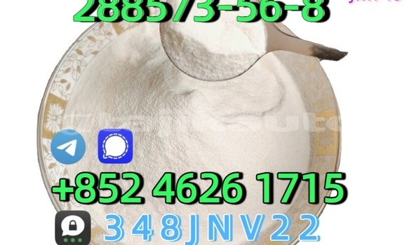 Buy CAS 288573-56-8 in Chorku in Sughd Buy CAS 288573-56-8 in Chorku in Sughd