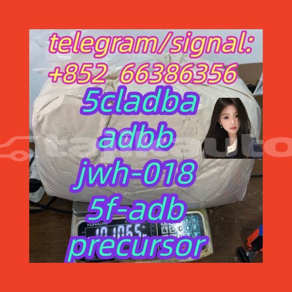 Big with watermark 3