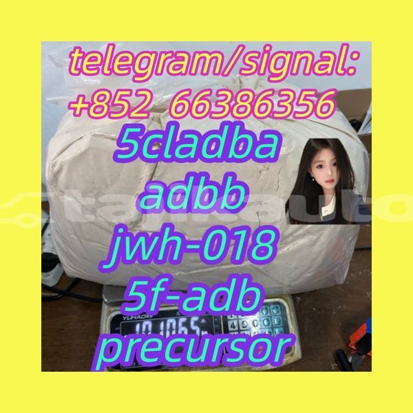 Big with watermark 4