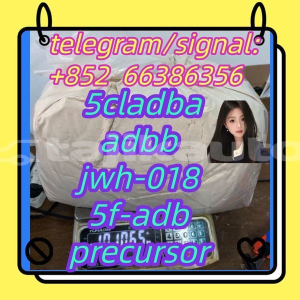 Big with watermark 8