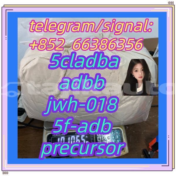 Big with watermark 10