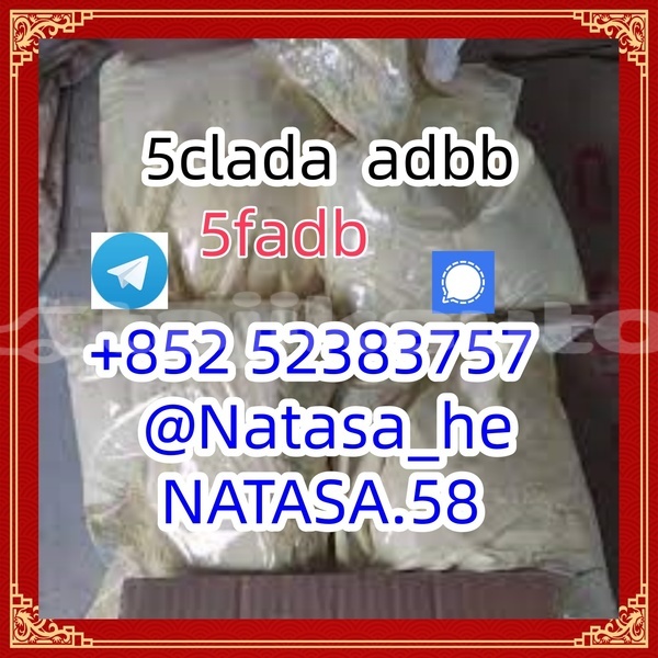 Big with watermark images 5 %e5%89%af%e6%9c%ac