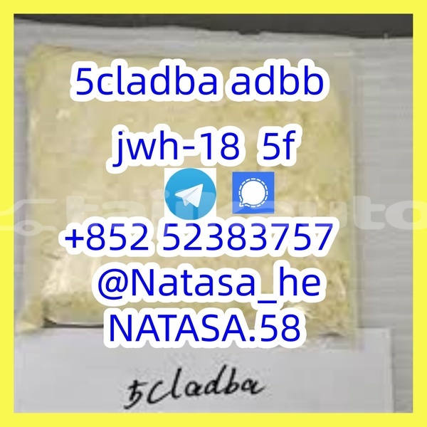 Big with watermark ac ace sughd chkalov 5326