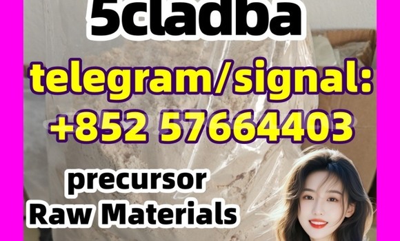 Medium with watermark 5cl5