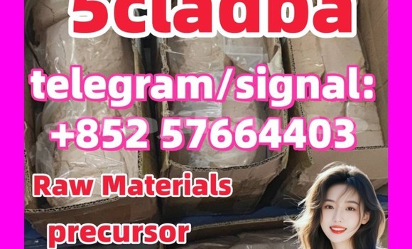 Medium with watermark 55