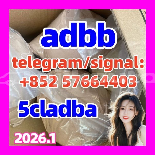 Big with watermark 555