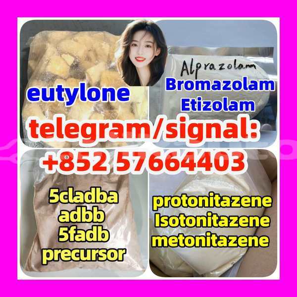 Big with watermark z5