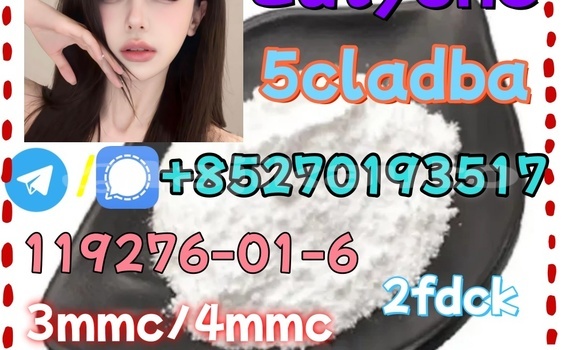 Medium with watermark 13