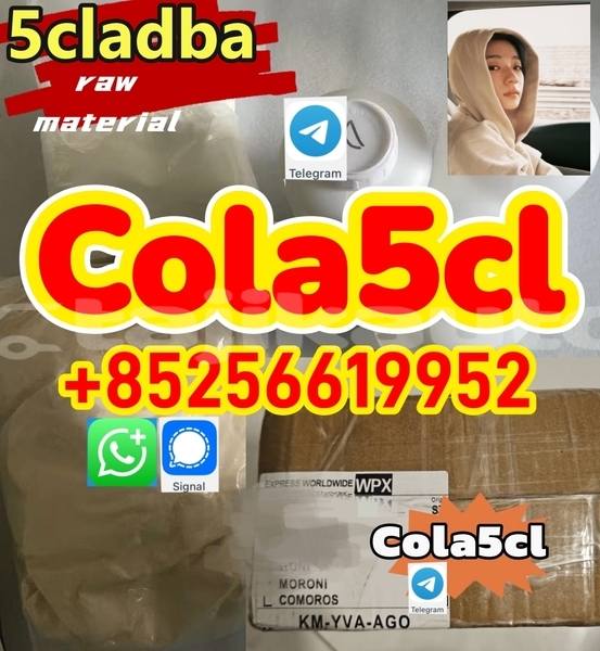 Big with watermark alfa romeo 146 khatlon sarband 5449