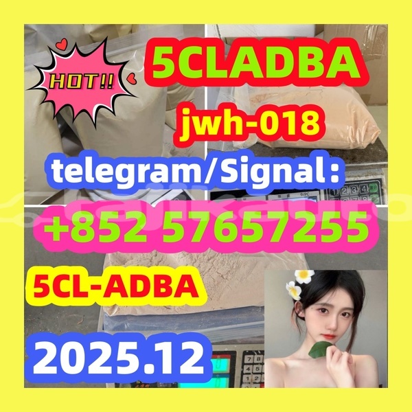 Big with watermark 48