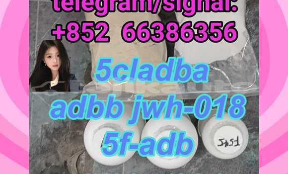 Buy 5cladba adbb 5f-adb in Buston in Sughd Buy 5cladba adbb 5f-adb in Buston in Sughd