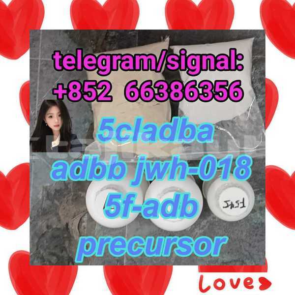 Big with watermark 2