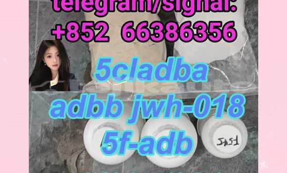 Buy 5cladba adbb 5f-adb in Ayni in Sughd Buy 5cladba adbb 5f-adb in Ayni in Sughd