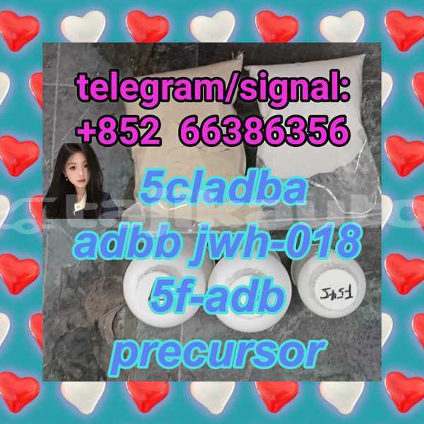 Big with watermark 4