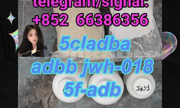Buy 5cladba adbb 5f-adb in Buston in Sughd Buy 5cladba adbb 5f-adb in Buston in Sughd