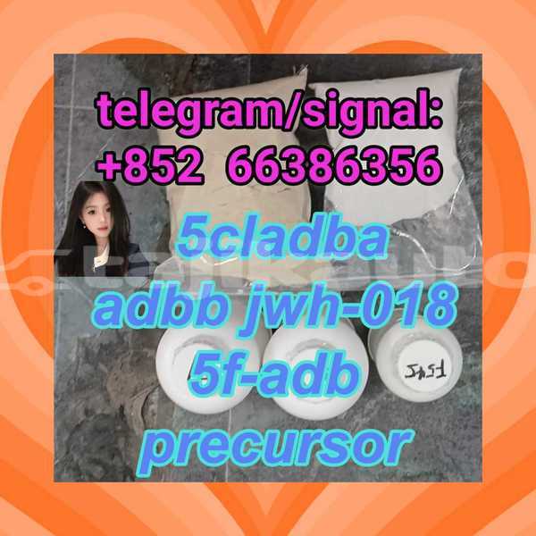 Big with watermark 6