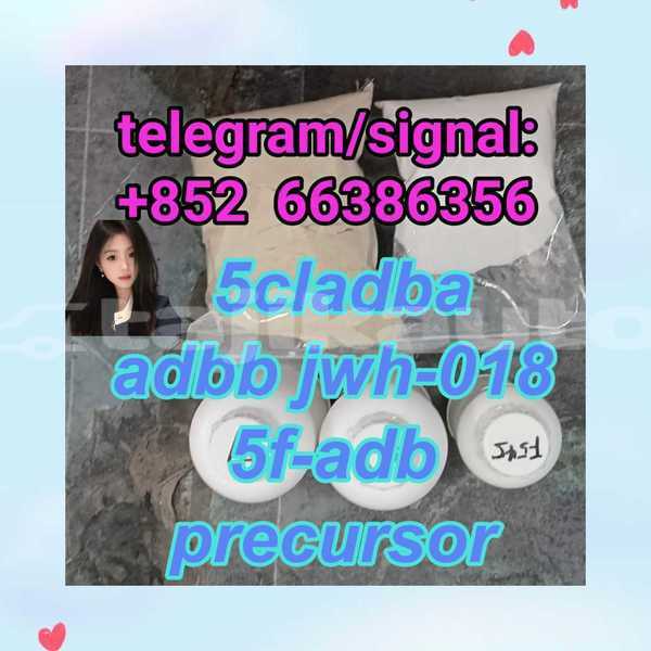 Big with watermark 7