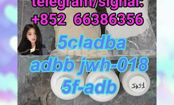 Medium with watermark 8