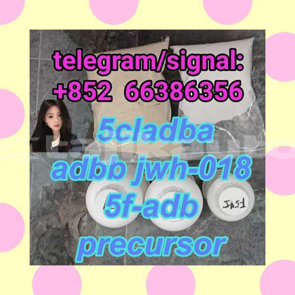 Big with watermark 10