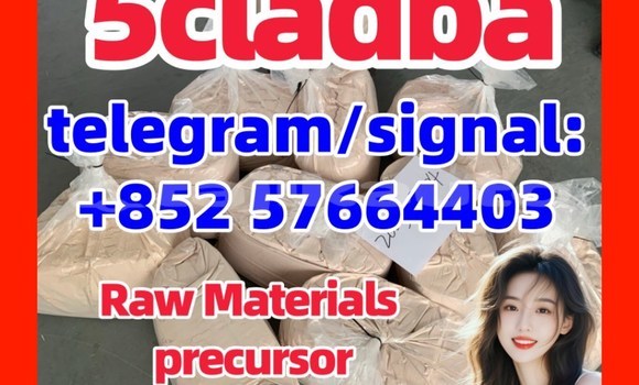 Buy 5cladba 1119-51-3 in Chkalov in Sughd Buy 5cladba 1119-51-3 in Chkalov in Sughd
