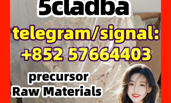 Medium with watermark 5cl2