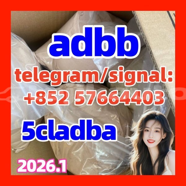 Big with watermark 522