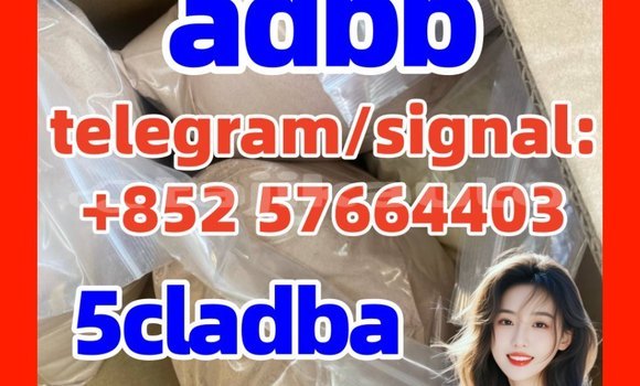 Buy 5cladba k2 molly jwh-210 in Dangara in Khatlon Buy 5cladba k2 molly jwh-210 in Dangara in Khatlon