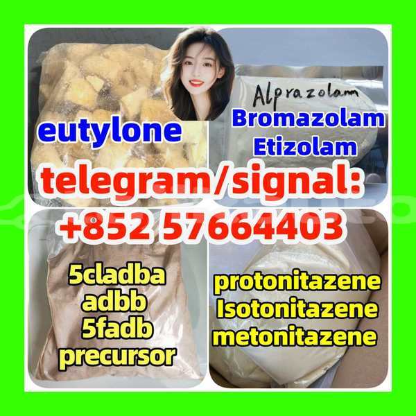 Big with watermark z1