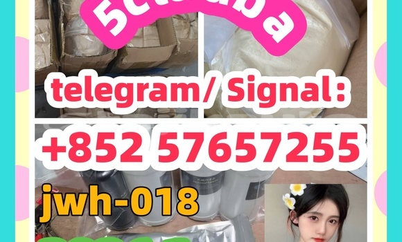 Medium with watermark 8