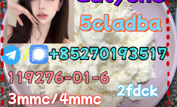 Medium with watermark 11 2