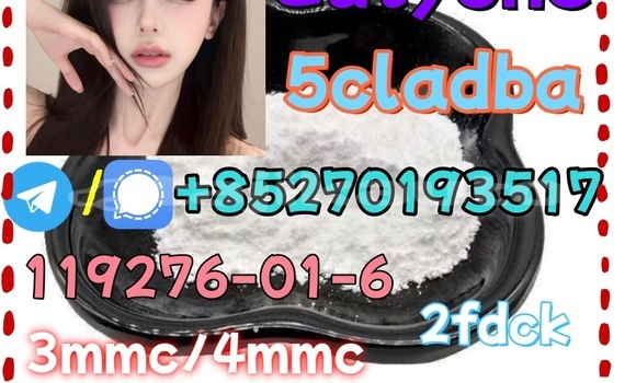 Medium with watermark 25