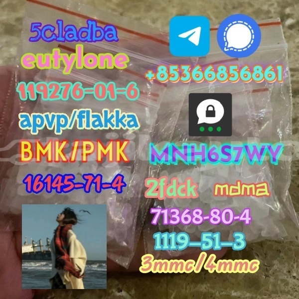 Big with watermark 1 64 