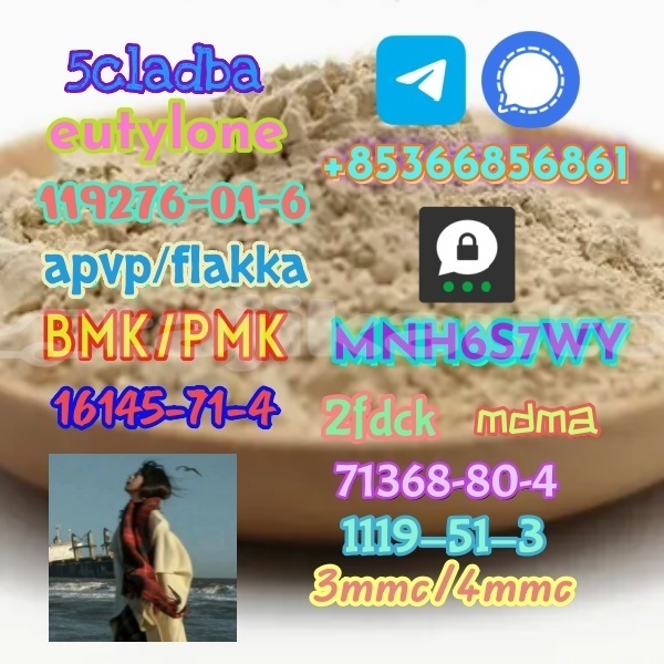 Big with watermark 1 66 