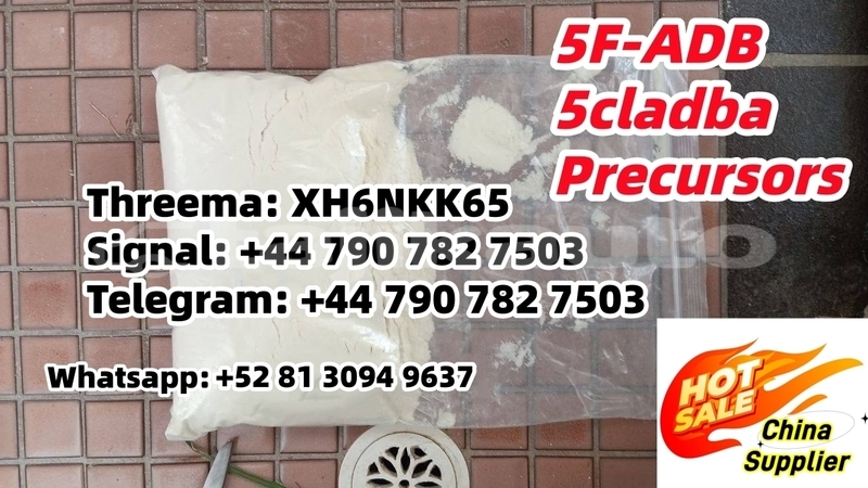 Big with watermark 3622423b 49ec 46cd 9637 711f5e2c49e0 %e5%89%af%e6%9c%ac