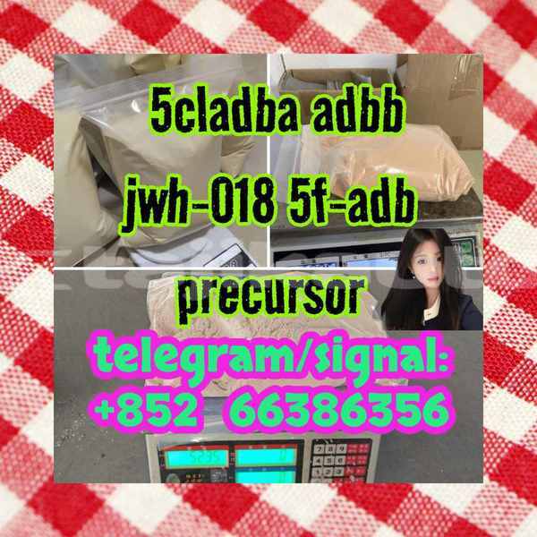 Big with watermark 11