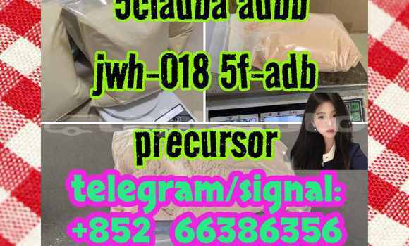 Medium with watermark 11