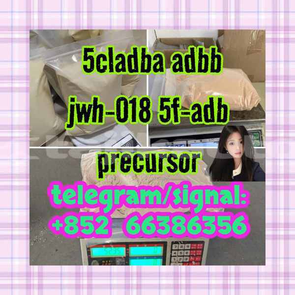 Big with watermark 8