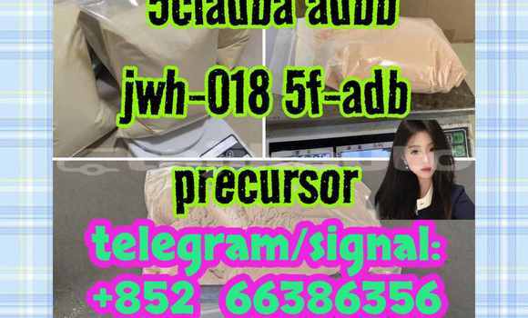 Medium with watermark 10